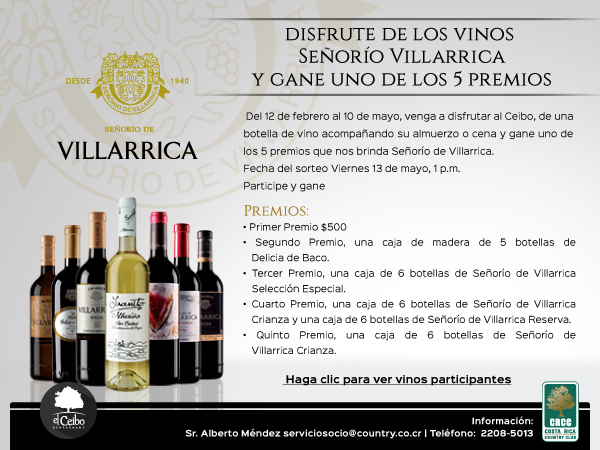 PromoVillarrica1mar2016fpss