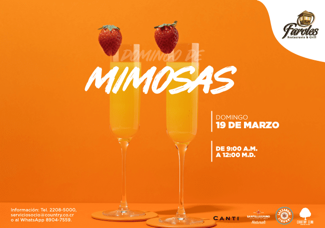SLIDEmimosas14MAR23