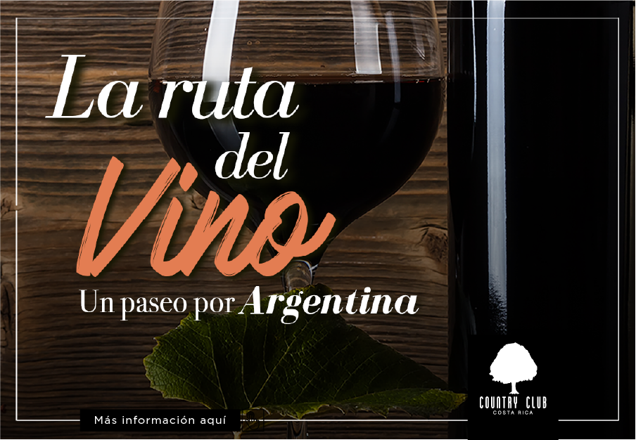 SLIDELARUTADELVINO12NOV2020