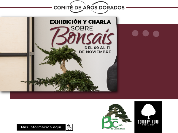 SLIDEEXHIBICIONBONSAIS25oct2019